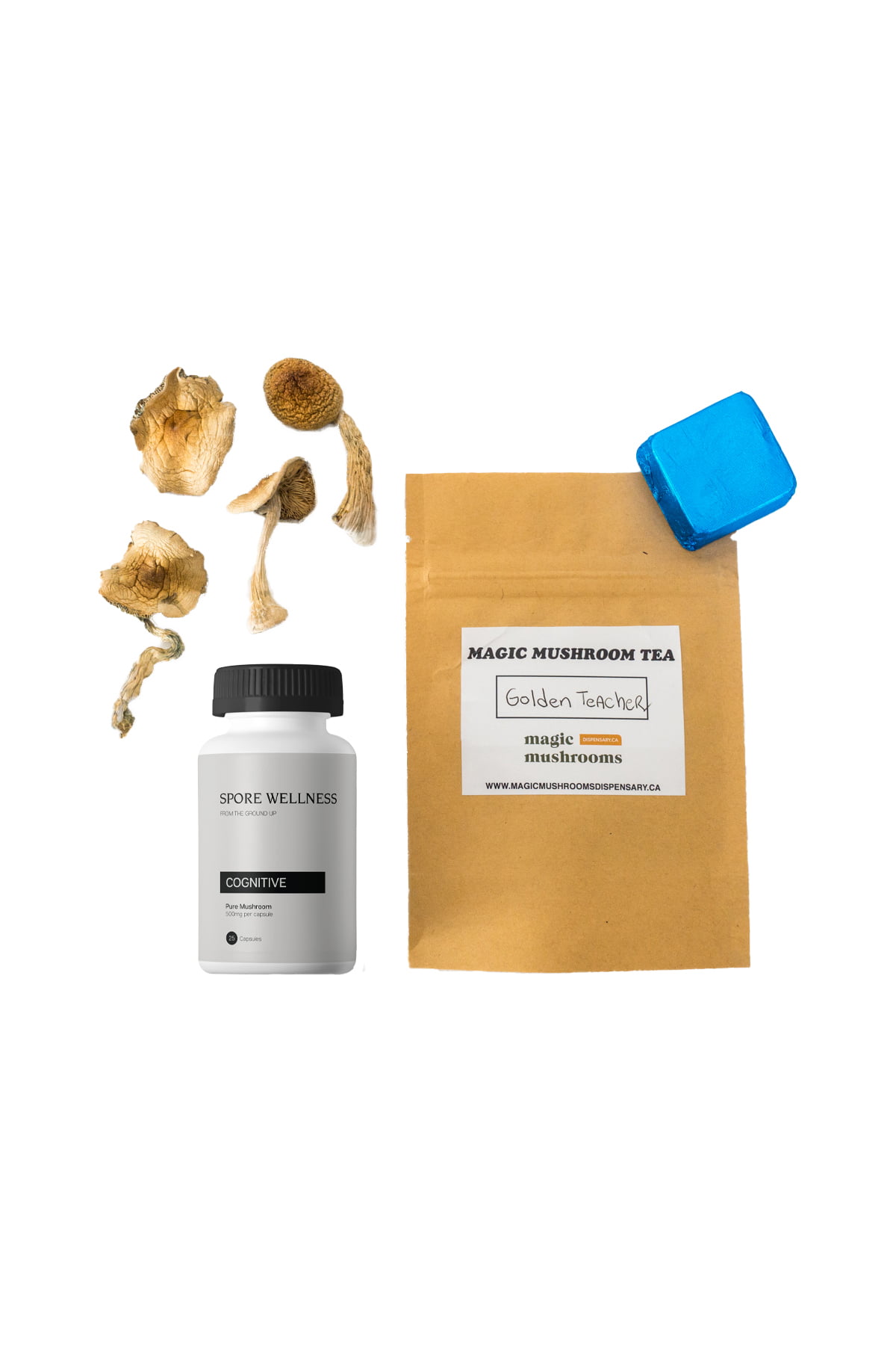 First-Timer-Magic-Mushroom-Kit-Psych-101.jpg